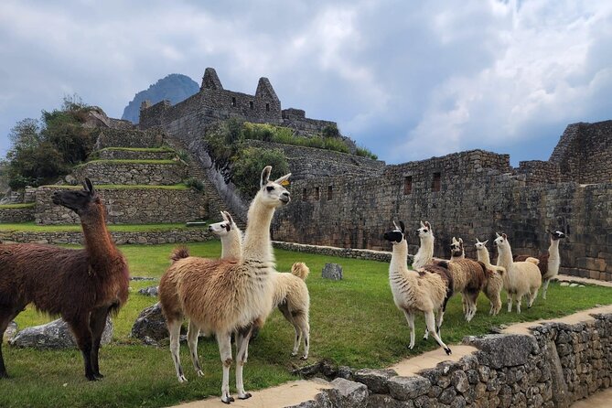 2 Day - Inca Trail to Machu Picchu - Getting from Cusco to the trail: the train to Km 104
