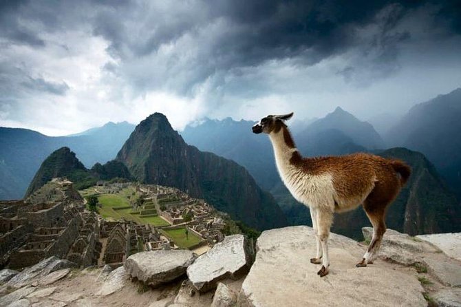 2-Day Short Inca Trail to Machu Picchu - Why the Short Inca Trail from Km 104 Feels Like the Real Thing