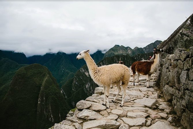 2-Day Short Inca Trail to Machu Picchu - Returning to Cusco: Train to Ollantaytambo, Bus Back