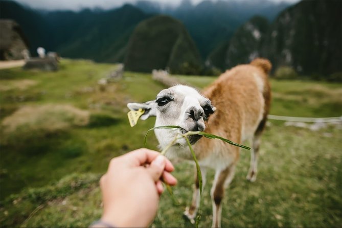 2-Day Short Inca Trail to Machu Picchu - Your Guide: What Quality Looks Like in Real Life