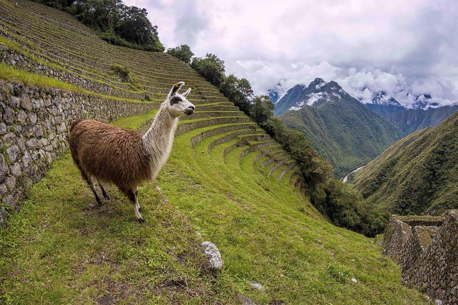 2-Day Short Inca Trail to Machu Picchu - Group Size and Pace: Small-Group Trek Reality