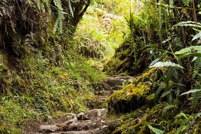 2 Day - Short Inca Trail to Machu Picchu - Group Service - Day 2 at Machu Picchu: sunrise bus, 2-hour guided walk, then your own pace