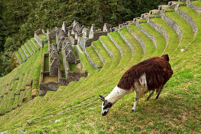 2 Day - Short Inca trail to Machu Picchu - Private Services - Guides make or break the experience