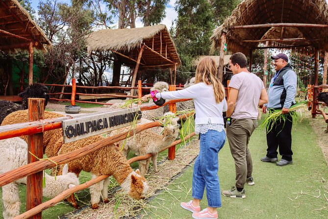 2-Day Tour: Sacred Valley & Machu Picchu – All Tickets Included - Day 1 from Cusco through the Sacred Valley: alpacas, Pisac ruins, and a market you can actually shop