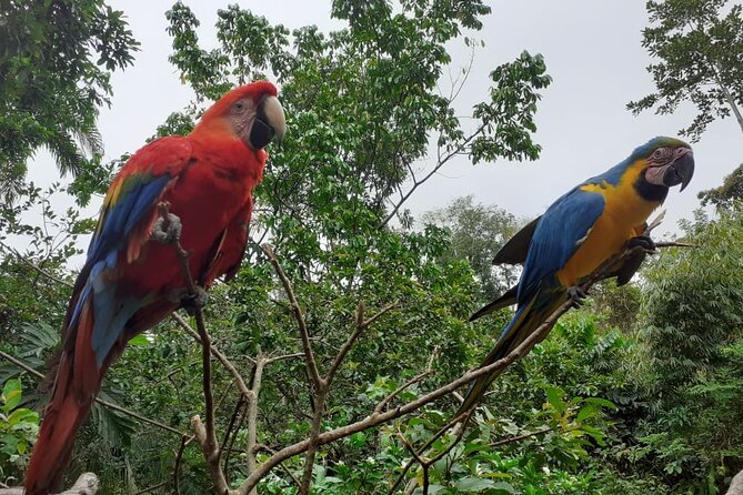 3-Day Eco-Sustainable Private Tour Manu National Park - What’s Included (And What You Should Plan for)
