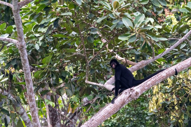 3-Day Eco-Sustainable Private Tour Manu National Park - How to Pack and What to Expect on the Ground