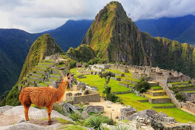 4-Day Excursion to MachuPicchu & Rainbow Mountain & City tour || All Included || - Day 3 Machu Picchu: early transfers, bus ride up, and ticket circuits
