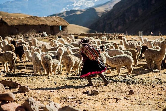 4-Day Lares Trek to Machu Picchu - Price and what you truly get for $656.42