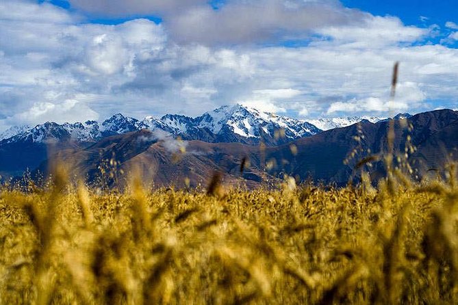 4-Day Lares Trek to Machu Picchu - Day 4: Machu Picchu guided tour, optional peaks, and solo time