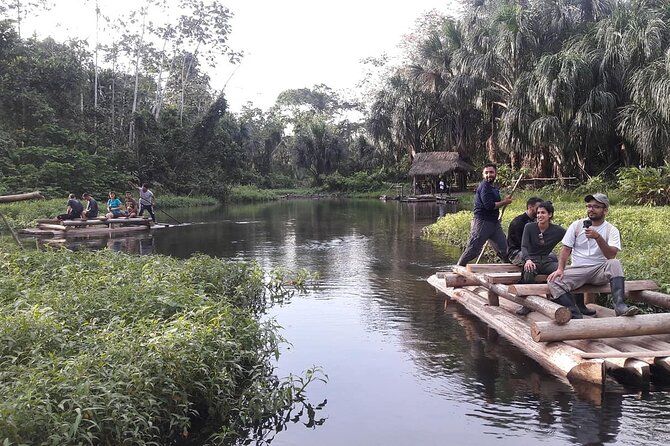 4 Day Tour to the Manu National Park - Day 3: Machuhuassy/Machohoods Lagoon clay lick, forest walk, and zipline