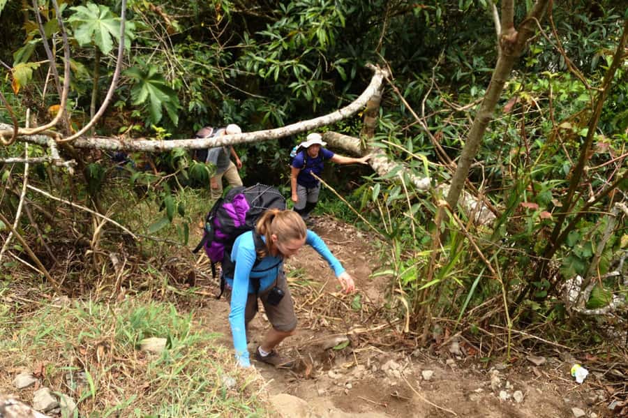 4 Days Inca Jungle Adventure to Machu Picchu - Sunrise Machu Picchu: the 4:00 am wake-up is the whole point