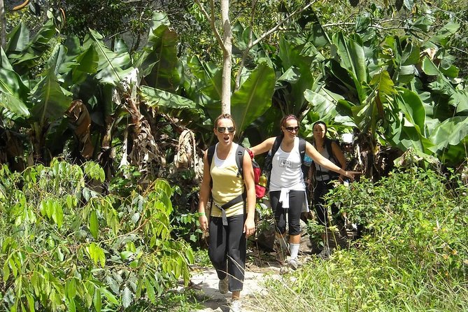 4 Days Inca Jungle to Machu Picchu Standard - The activity load: who this tour fits best (and who should think twice)
