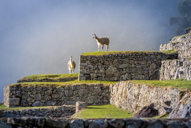 5 Day - Tour to Machu Picchu Traditional - Group service - Where You Sleep: Casa Andina 3-Star Comfort and Included Breakfast