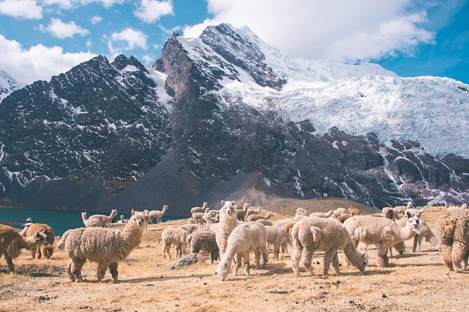 6 day Rainbow Mountain x Ausangate Trek - FlashpackerConnect - Day 5: Puca Cocha Pass (5,051m), Red Mountain Valley, and Warmi Saya