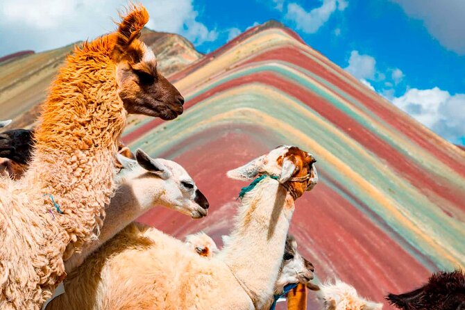 6-Day Tour of Cusco Magico-Machu Picchu-Rainbow Mountain - What’s included, what’s extra, and whether $539 is good value