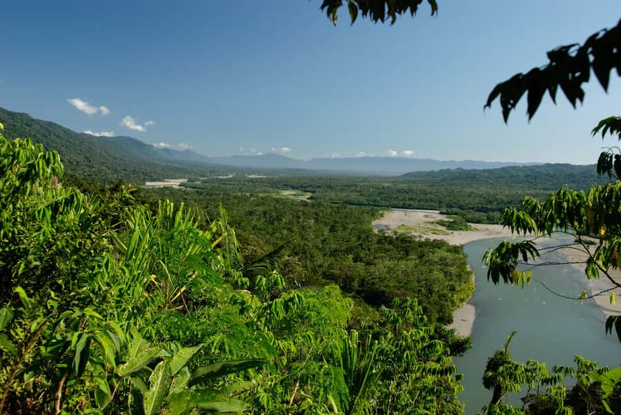 Amazonas Manu Cultural Zone 4 Days / 3 Nights - Dawn at the parrot clay lick and the Ceiba tree trail