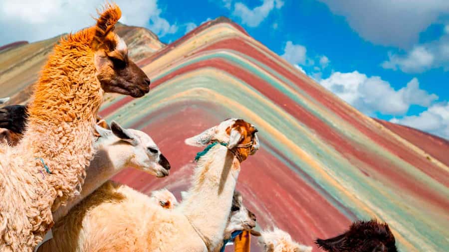 Arrive before the crowd to the Mountain in private service - The Rainbow Mountain walk: pace, altitude support, and photo help
