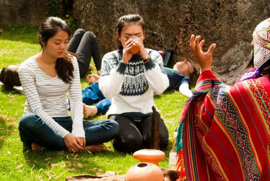 Ayahuasca Ceremony 1 Day in Cusco - San Pedro Wachuma in Cusco: what medicine you’re actually taking