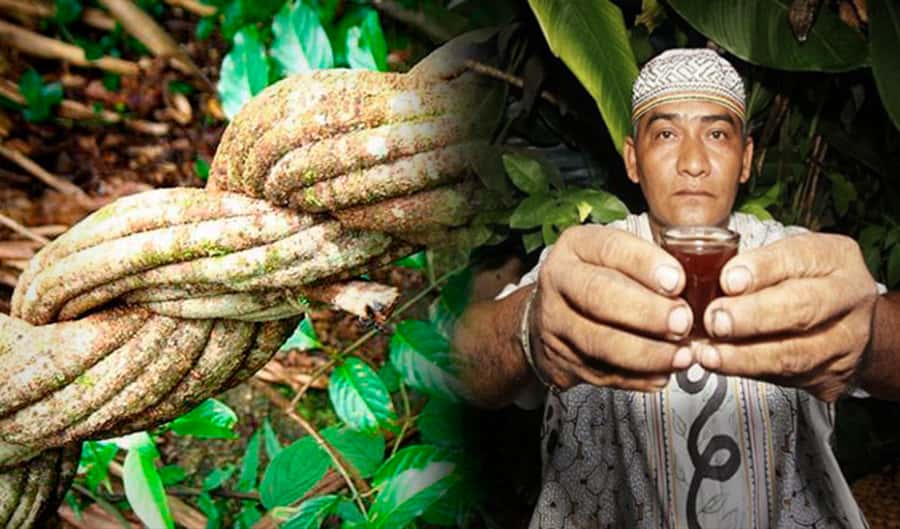 Ayahuasca Ceremony 1 Day in Cusco - The ceremony flow: fire, black tobacco cleansing, and steady effects to midnight
