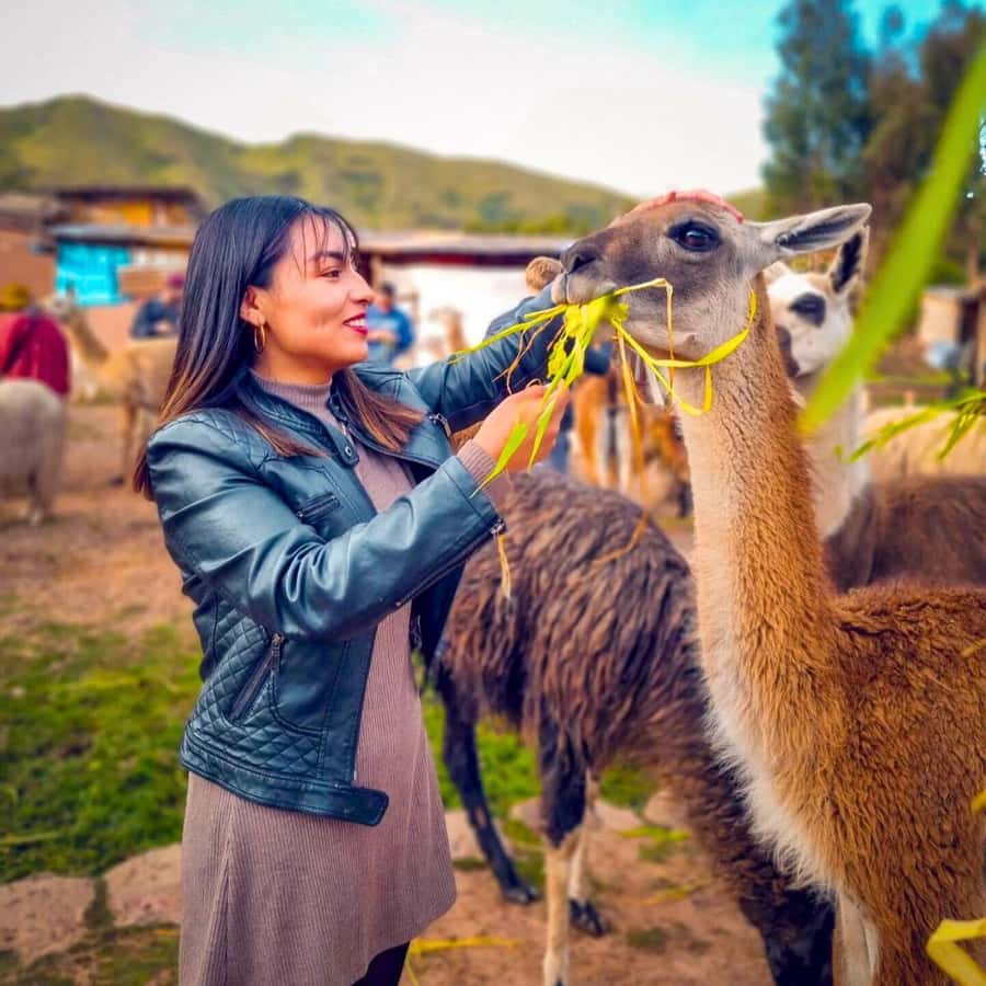 BUS 180 CUSCO - Huayllarccocha lake: the myths staging moment