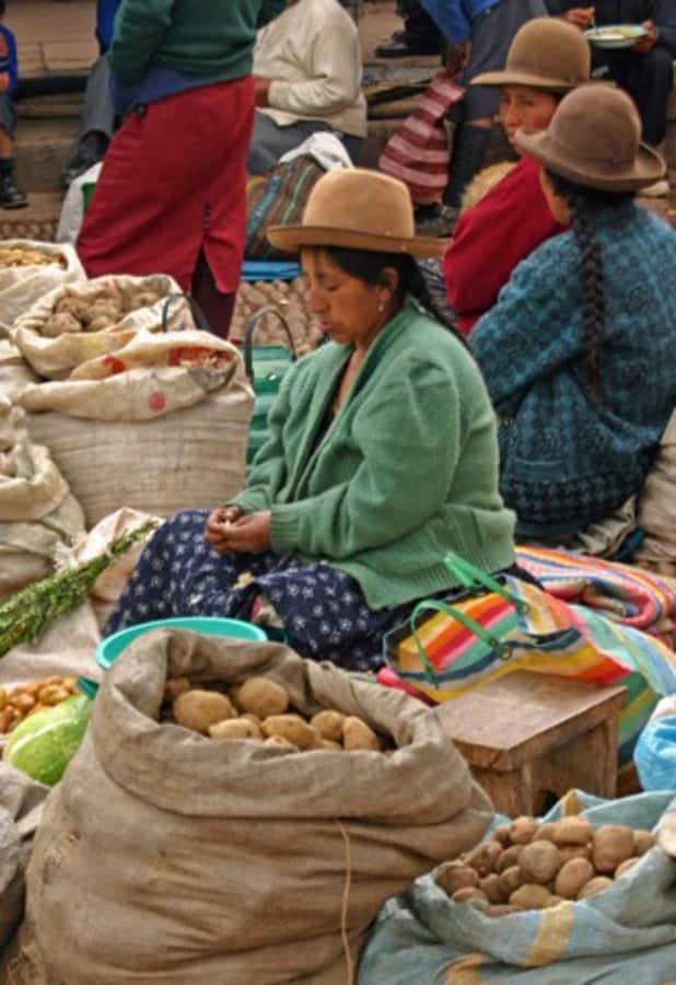 Cusco: 3-Hour Peruvian Cooking Class - The Menu: Ceviche, Your Choice of Main, Pisco Sour, and Chocolate Fondue