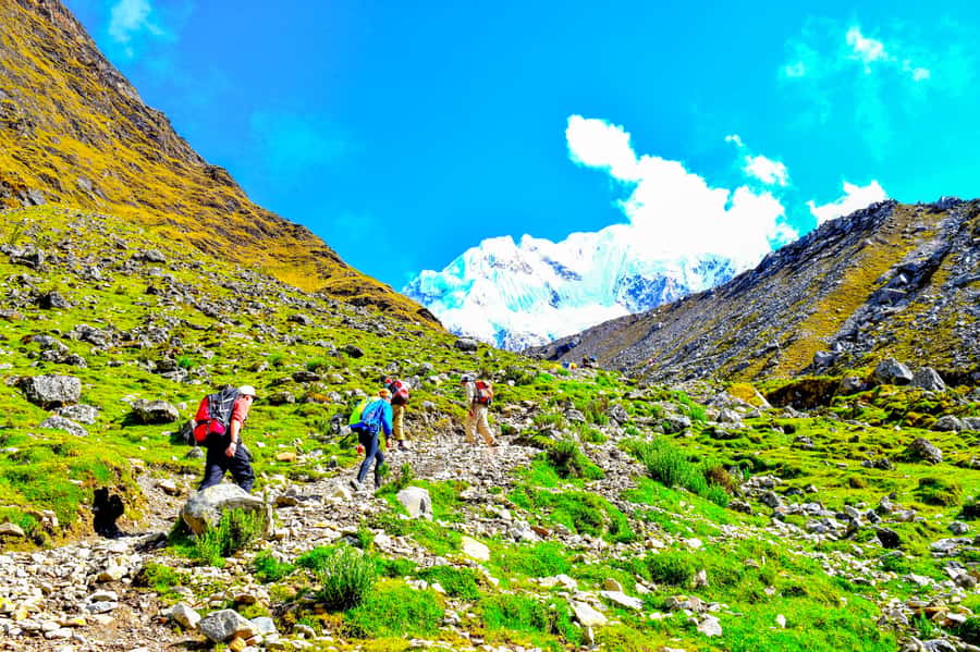Cusco: 5-Day Salkantay Ultimate Trek to Machu Picchu - Day 3: Cloud Forest Descent to Playa Sahuayaco and Lucmabamba