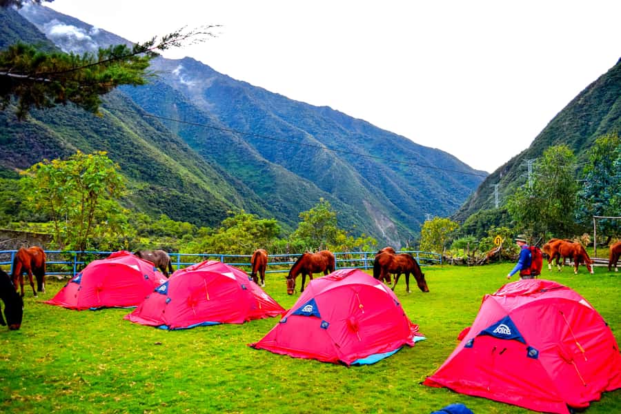 Cusco: 5-Day Salkantay Ultimate Trek to Machu Picchu - Day 5: Machu Picchu Morning With a Guide and Optional Viewpoints