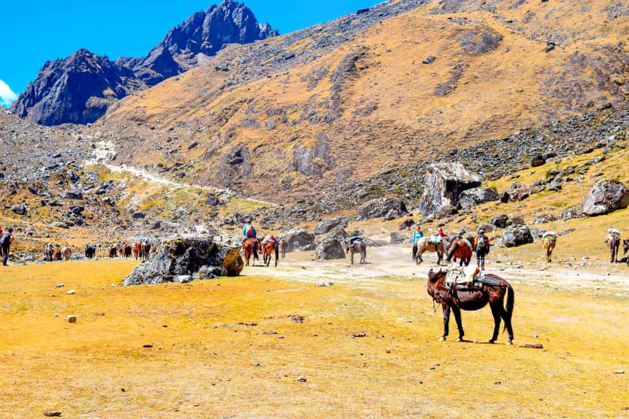 Cusco: 5-Day Salkantay Ultimate Trek to Machu Picchu - Lucmabamba Coffee Farm: Culture That Doesn’t Feel Like a Detour