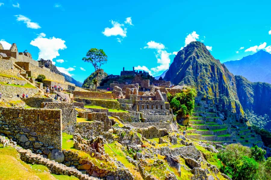 Cusco: 5-Day Salkantay Ultimate Trek to Machu Picchu - Food, Sleep Setup, and Support: The Stuff You’ll Feel Every Day