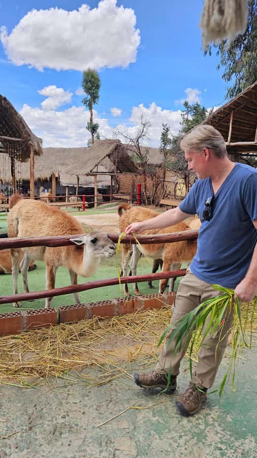 Cusco: Alpaca and Llama Farm Tour w/ Transfer & Weaving Demo - Manos de la Comunidad: what the farm visit feels like