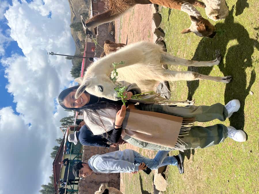 Cusco: Archeological Sites Tour and Forest Photo Experience - Tambomachay: The Inca Baths and the Water-Cult Connection