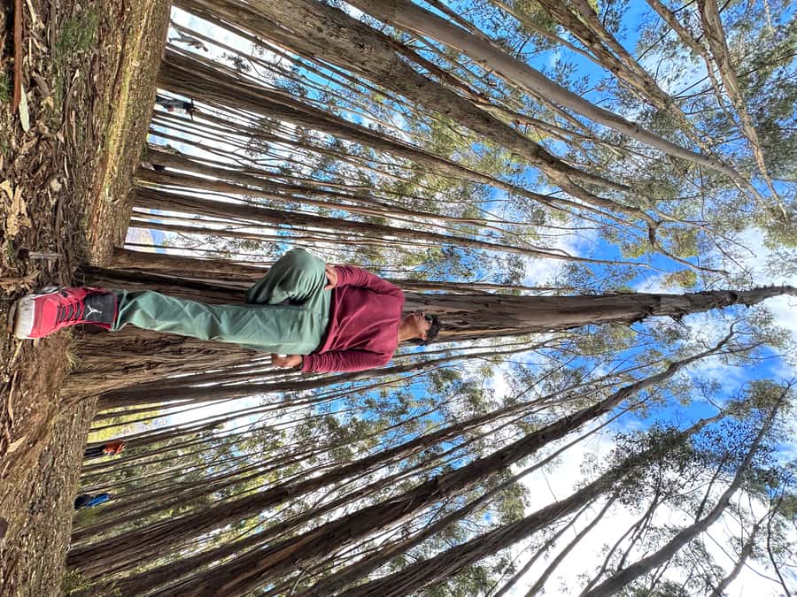 Cusco: Archeological Sites Tour and Forest Photo Experience - Qenqo Forest Photo Session: Where the Tour Becomes Personal