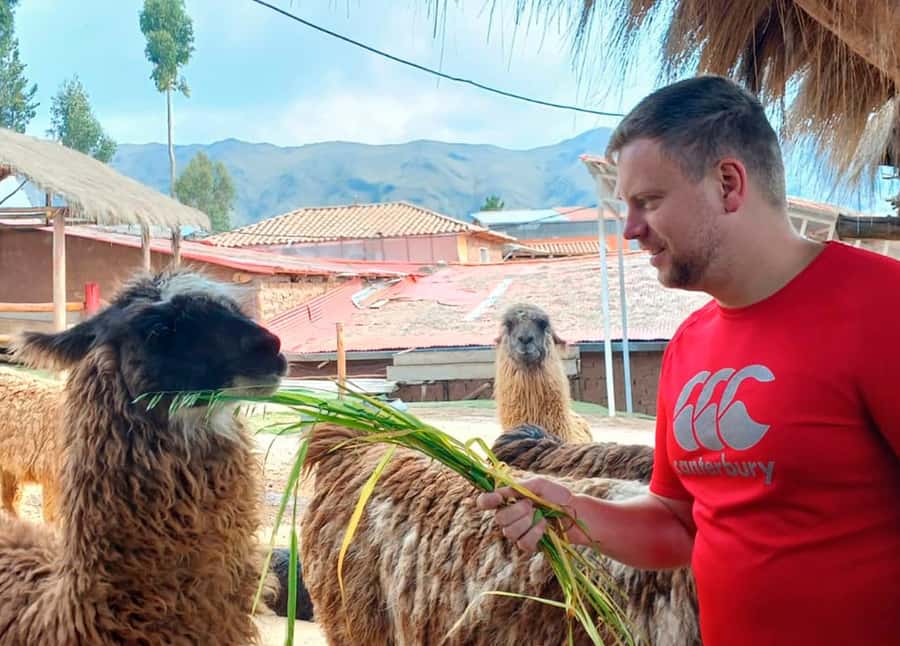 Cusco: Archeological Sites Tour and Forest Photo Experience - Timing, Pickup, and the One Mistake That Costs You Ruins