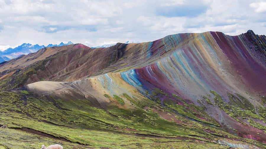 Cusco : Full day Palcoyo Mountain of colors - The ride from Cusco: why the 4 a.m. departure is part of the deal