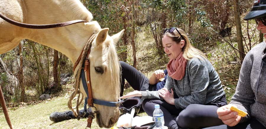 Cusco: Half-Day Horseback Riding at Devil's Balcony - Key points before you book