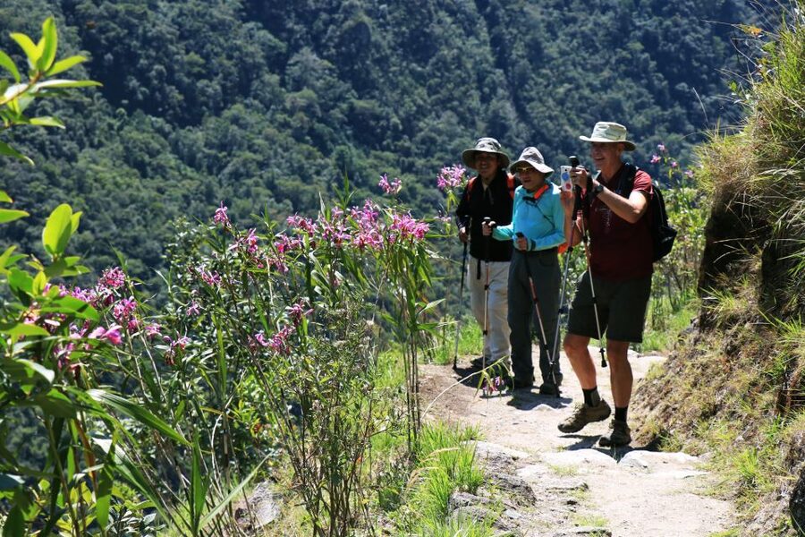 Cusco: Machu Picchu 2-Day Inca Trail with Panoramic Train - Lunch in the Mountains: Why the Chef-Made Picnic Matters