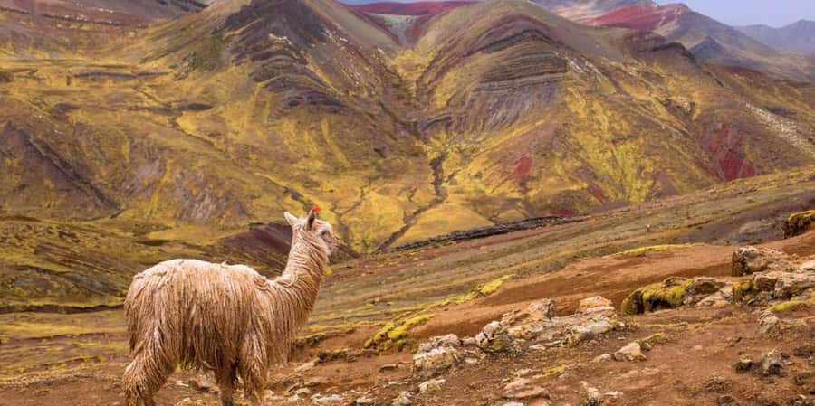 Cusco : Palcoyo - Rainbow Mountain Hidden Sister - Key Things You’ll Notice on This Palcoyo Tour