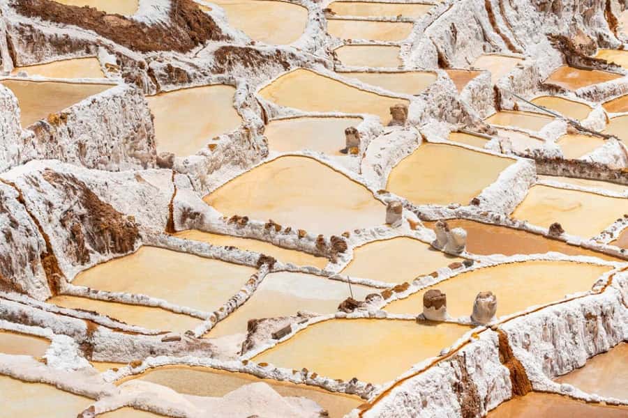 Cusco: Sacred Valley, Pisac, Ollantaytambo, Salt Mines Moray - Urubamba lunch and market break: fuel plus a taste of daily life