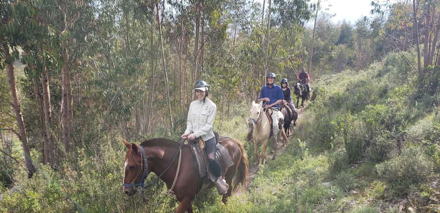 Cusco: Sacsayhuaman Guided Tour and 1-Hour Horseback Ride - The Peruvian ranch setup: helmets, muleteers, and horse choice