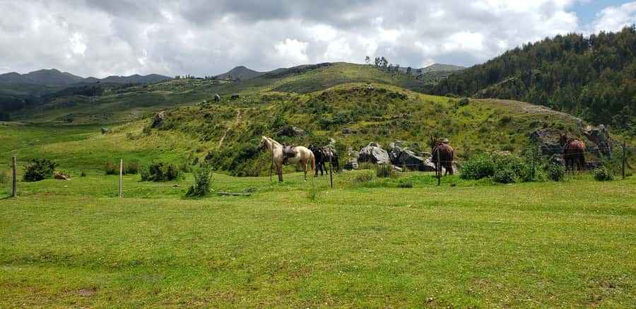 Cusco: Sacsayhuaman Guided Tour and 1-Hour Horseback Ride - The 1-hour ride in the Sacsayhuamán National Park area