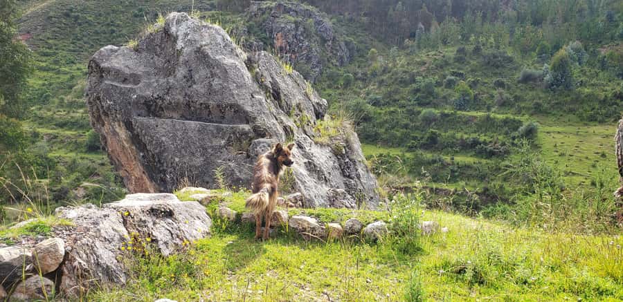 Cusco: Sacsayhuaman Guided Tour and 1-Hour Horseback Ride - Should you book Cusco Sacsayhuamán, Qenqo, and the 1-hour horseback ride?