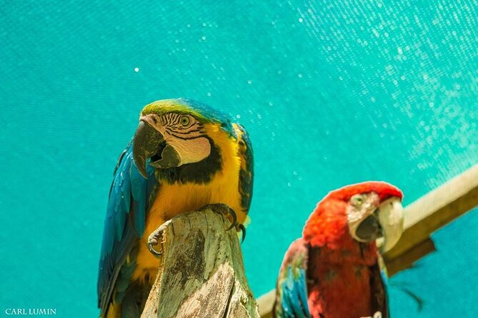 Cusco Santuario de Animales Rescatados en Cusco - Walking the sanctuary: what to expect at your first stop
