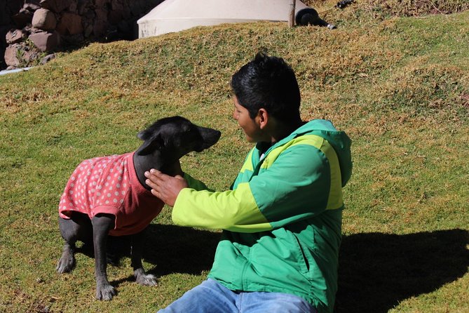 Cusco Santuario de Animales Rescatados en Cusco - The guide matters: Albert’s patient animal stories