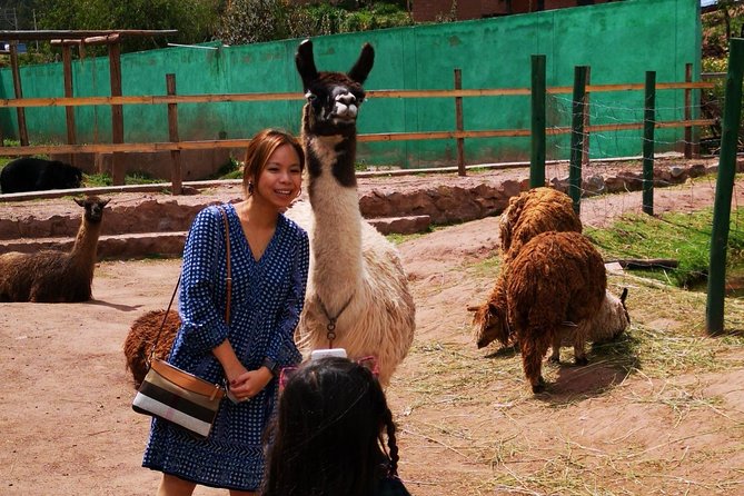 Cusco Santuario de Animales Rescatados en Cusco - Why the mission is the real highlight (and it shows)