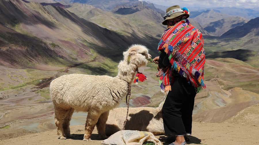 Cuzco: Rainbow Mountain Excursion - Lunch buffet in Cusipata, then back to Cusco by 16:00–17:00