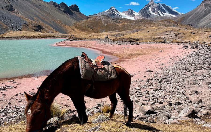 Excursion: Explore in one day the 7 lakes of Ausangate from Cusco - Breakfast in Pacchanta: refuel before altitude work