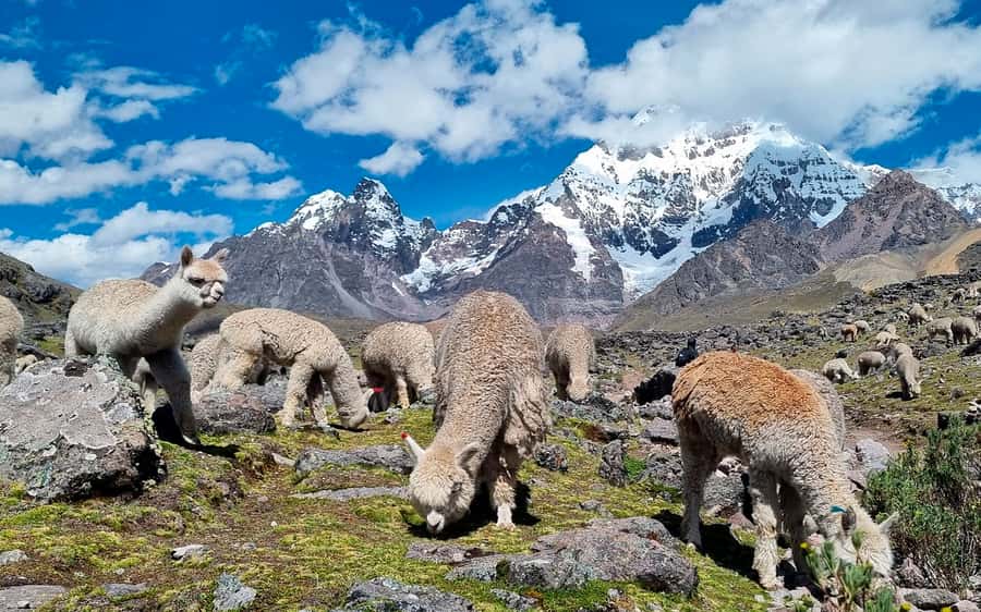Excursion: Explore in one day the 7 lakes of Ausangate from Cusco - Pacchanta hot springs: the perfect end to a high-altitude day