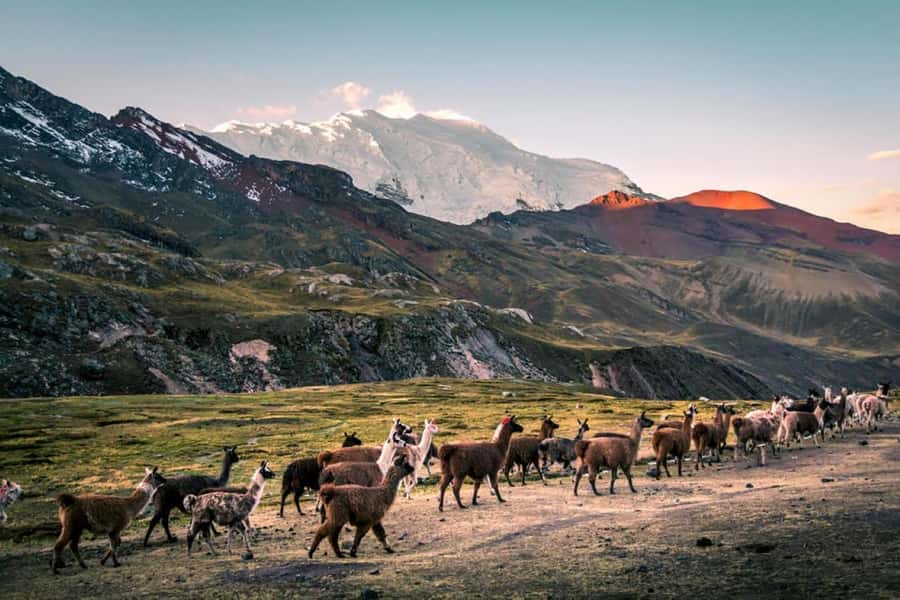 Excursion: Rainbow Mountain and Ausangate 7 Lagoons 2 days - Rainbow Mountain Hike: Timing, Altitude, and How to Handle It