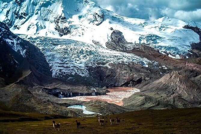 Excursion to Ausangate & 7 lakes with Coca Ceremony |Private| - Price and value: is $108 per person fair for this day?