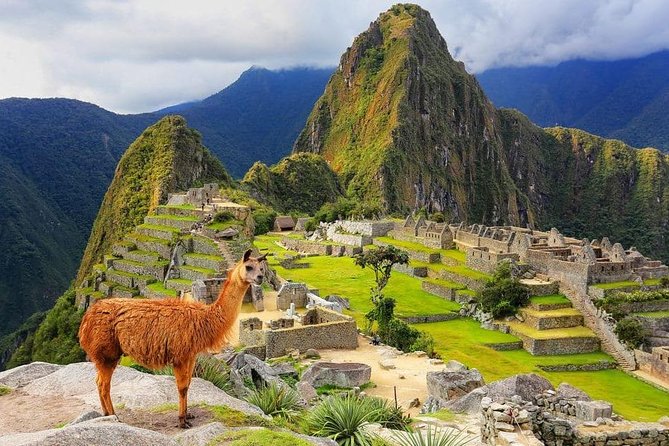 Excursion to MachuPicchu from Cusco with lunch | Private Service| - Key highlights at a glance